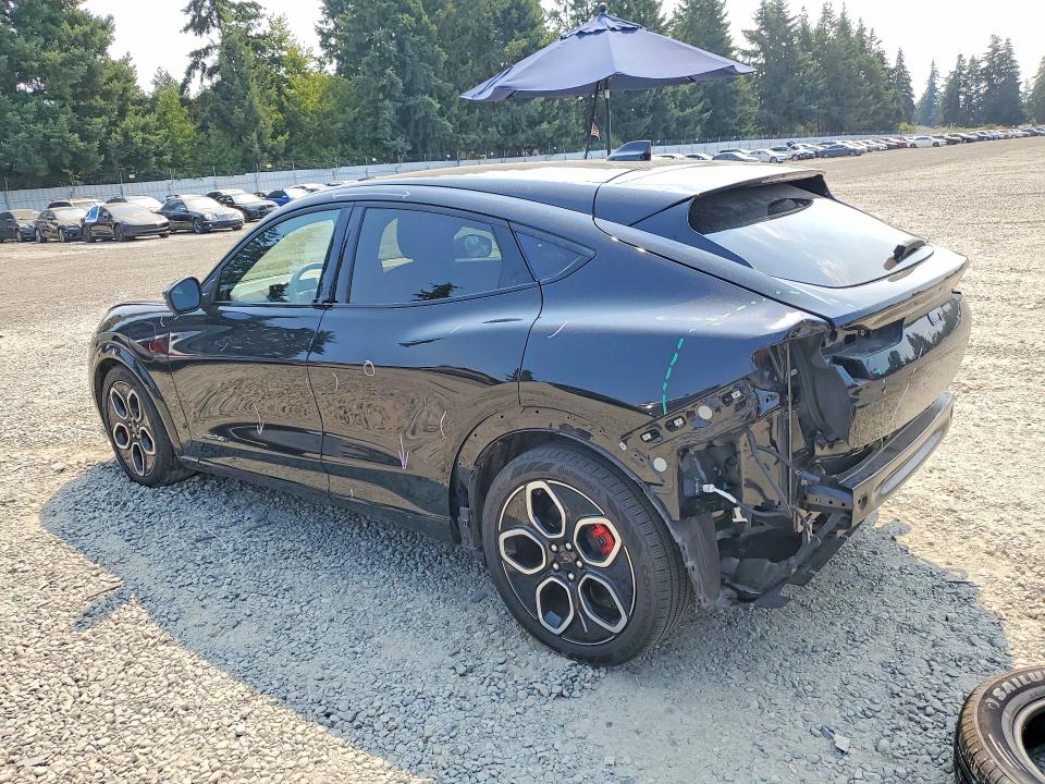 Продажа на аукционе авто 2024 Ford Mustang Mach-e, vin: 3FMTK4SX0RMA20327, номер лота: 64161066