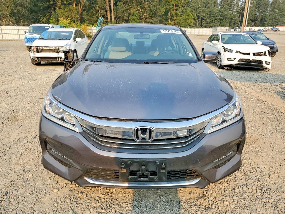 63750146 :رقم المزاد ، 1HGCR2F79GA206085 vin ، 2016 Honda Accord مزاد بيع