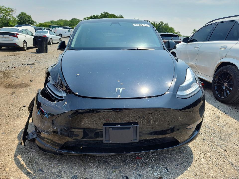 Продаж на аукціоні авто 2023 Tesla Model Y, vin: 7SAYGDEE4PF756892, номер лоту: 64065176