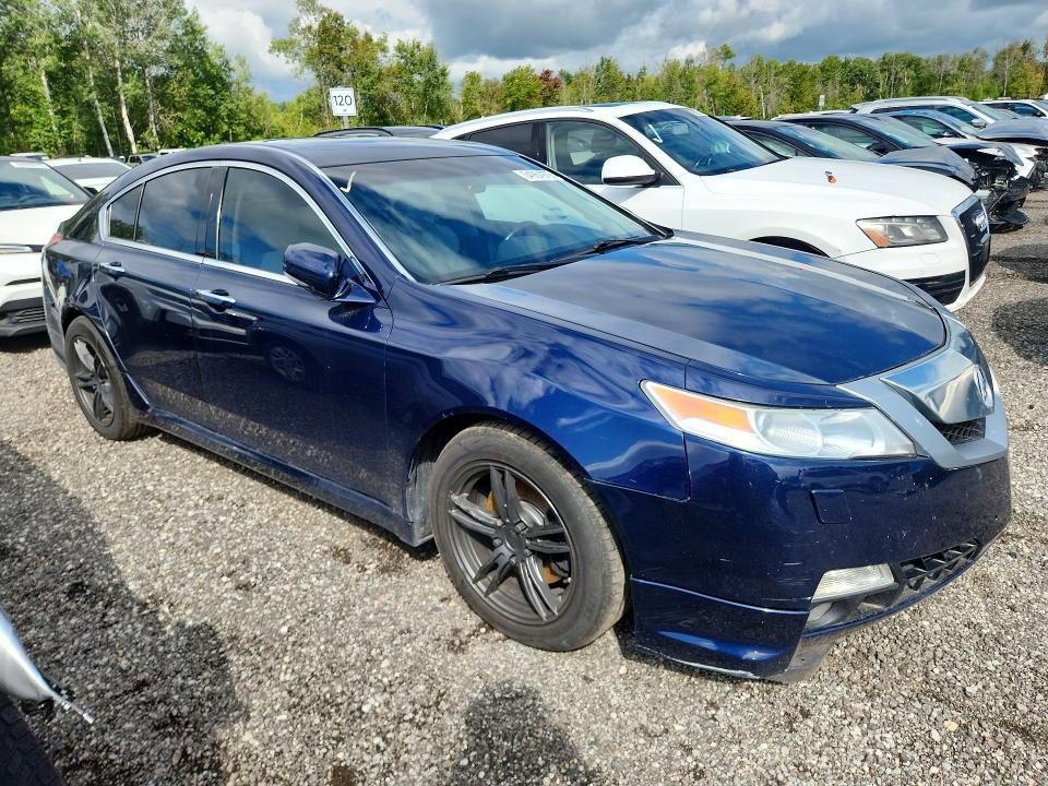 Продаж на аукціоні авто 2009 Acura Tl, vin: 19UUA96539A800855, номер лоту: 64964976