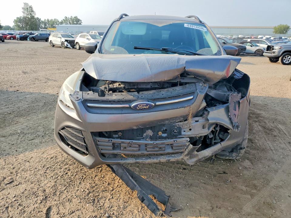 Aukcja sprzedaży 2014 Ford Escape, vin: 1FMCU9G94EUA24307, numer aukcji: 64914446