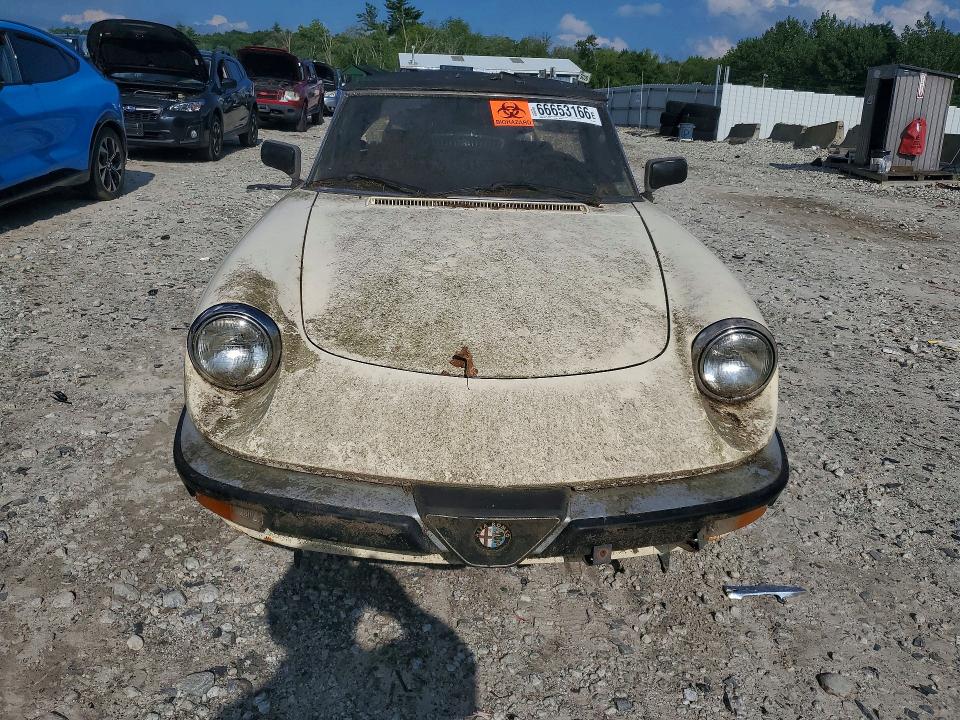 66653166 :رقم المزاد ، ZARBA5641H1045361 vin ، 1987 Alfa Romeo Spider مزاد بيع