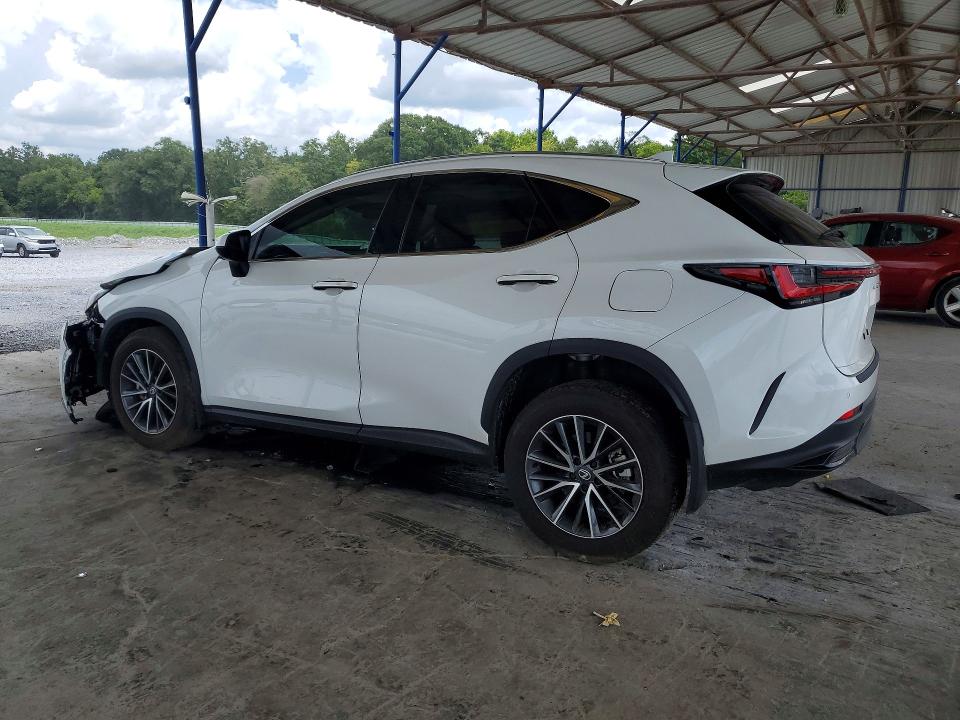 2026 Lexus Nx მანქანა იყიდება აუქციონზე, vin: 2T2GGCEZ6TC101181, აუქციონის ნომერი: 64856286