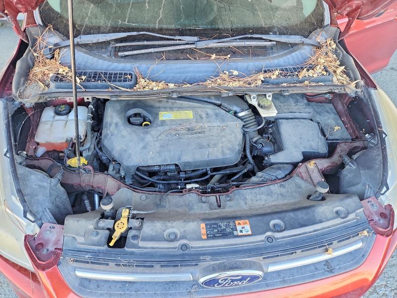Aukcja sprzedaży 2014 Ford Escape, vin: 1FMCU0GX4EUC46002, numer aukcji: 65656566