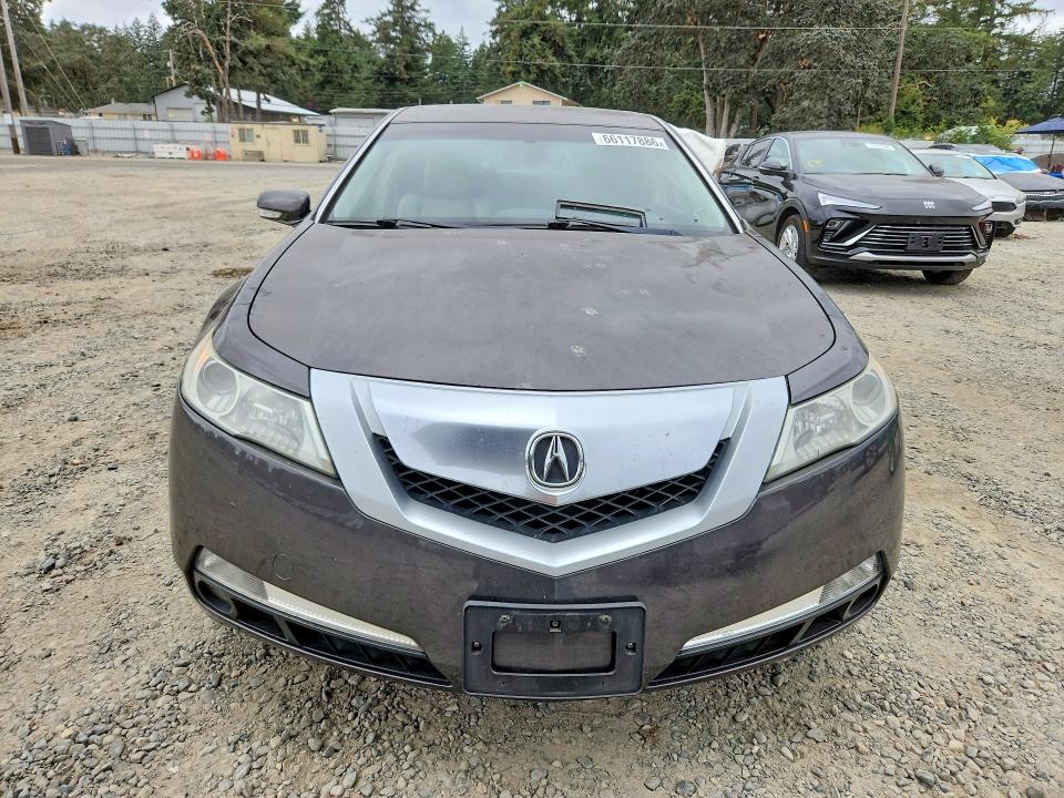 Продаж на аукціоні авто 2009 Acura Tl, vin: 19UUA86219A016559, номер лоту: 66117886