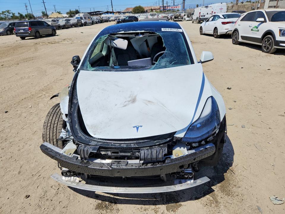 Продажа на аукционе авто 2023 Tesla Model 3, vin: 5YJ3E1EA7PF446843, номер лота: 66446256