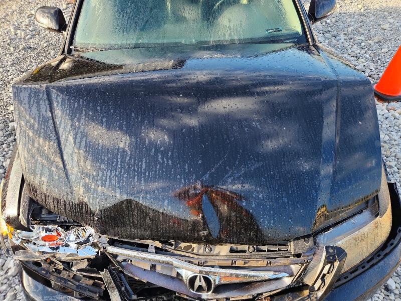 2006 Acura Tsx მანქანა იყიდება აუქციონზე, vin: JH4CL96906C011519, აუქციონის ნომერი: 66189866