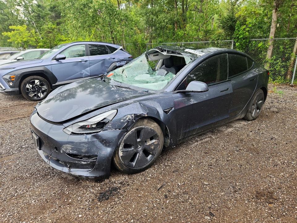 Auction sale of the 2023 Tesla Model 3, vin: 5YJ3E1EA8PF406089, lot number: 61752256