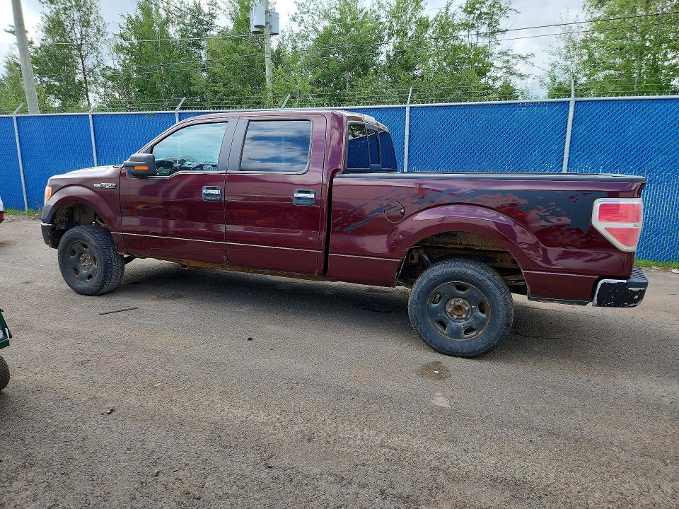 66688346 :رقم المزاد ، 1FTFW1E85AFB63982 vin ، 2010 Ford F150 مزاد بيع