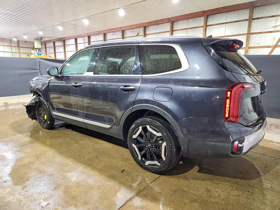 Продаж на аукціоні авто 2025 Kia Telluride, vin: 5XYP6DGC0SG682539, номер лоту: 66747276