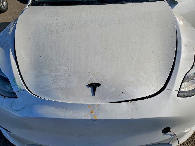 61975746 :رقم المزاد ، 7SAYGDEE3PF839052 vin ، 2023 Tesla Model Y مزاد بيع