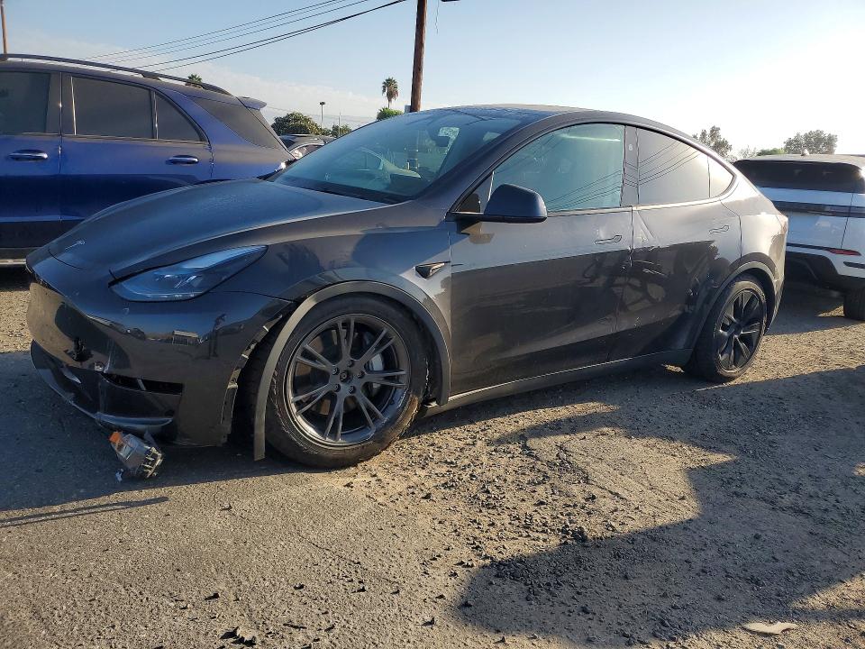 Продаж на аукціоні авто 2025 Tesla Model Y, vin: 7SAYGDEE0SF216643, номер лоту: 63767196
