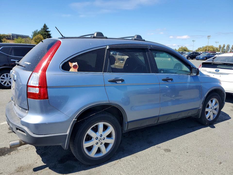 64671386 :رقم المزاد ، JHLRE48517C086561 vin ، 2007 Honda Cr-v مزاد بيع