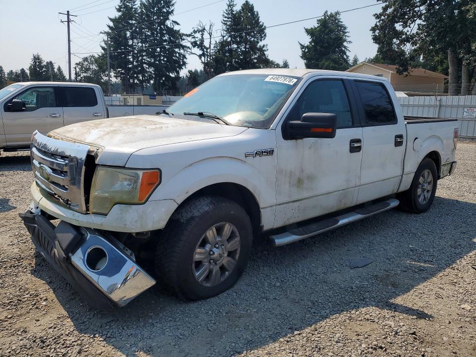 Auction sale of the 2009 Ford F150, vin: 1FTRW12839KC79069, lot number: 64927976