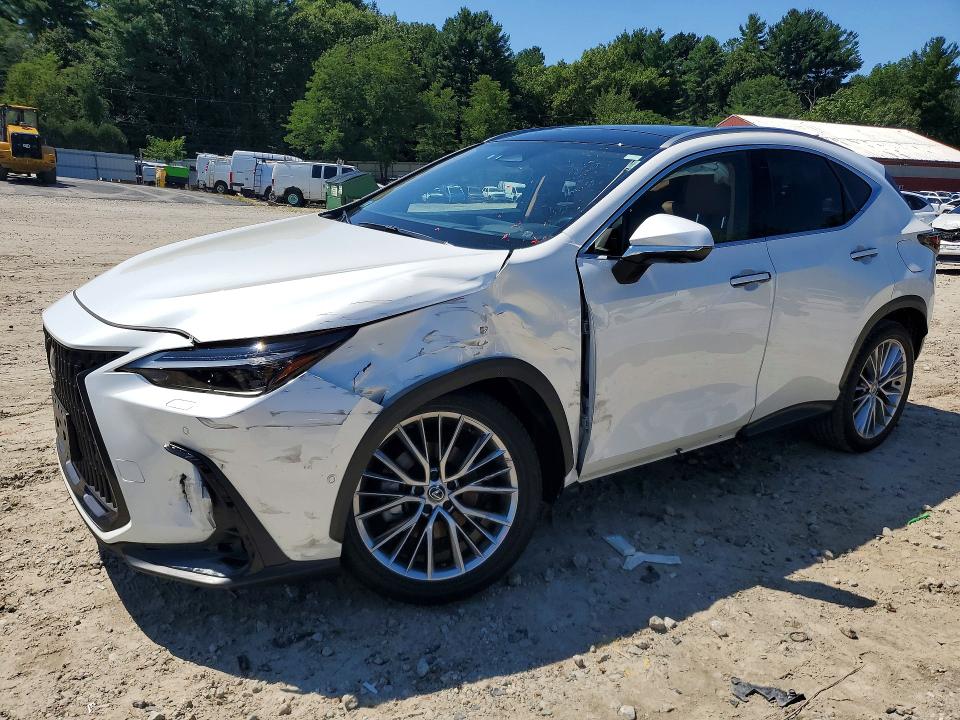 Продажа на аукционе авто 2024 Lexus Nx 350h, vin: JTJHKCEZXR2025668, номер лота: 63529786