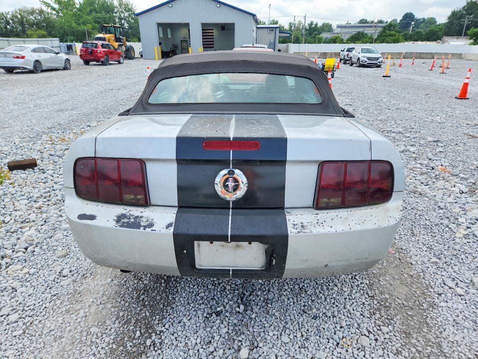 Продаж на аукціоні авто 2005 Ford Mustang, vin: 1ZVFT84N855191650, номер лоту: 64697316