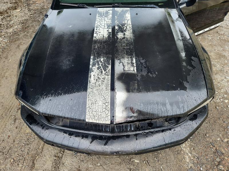 Продаж на аукціоні авто 2006 Ford Mustang, vin: 1ZVFT80N965255735, номер лоту: 67064886