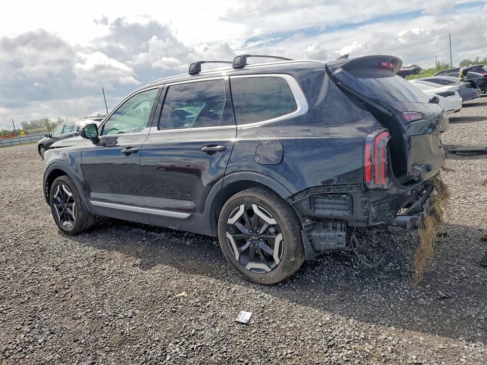Продаж на аукціоні авто 2023 Kia Telluride, vin: 5XYP3DGC0PG351850, номер лоту: 66138376