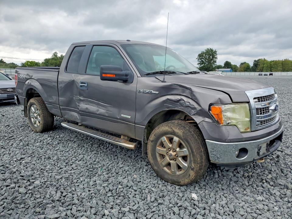 65652976 :رقم المزاد ، 1FTFX1ET8DFC93325 vin ، 2013 Ford F150 مزاد بيع