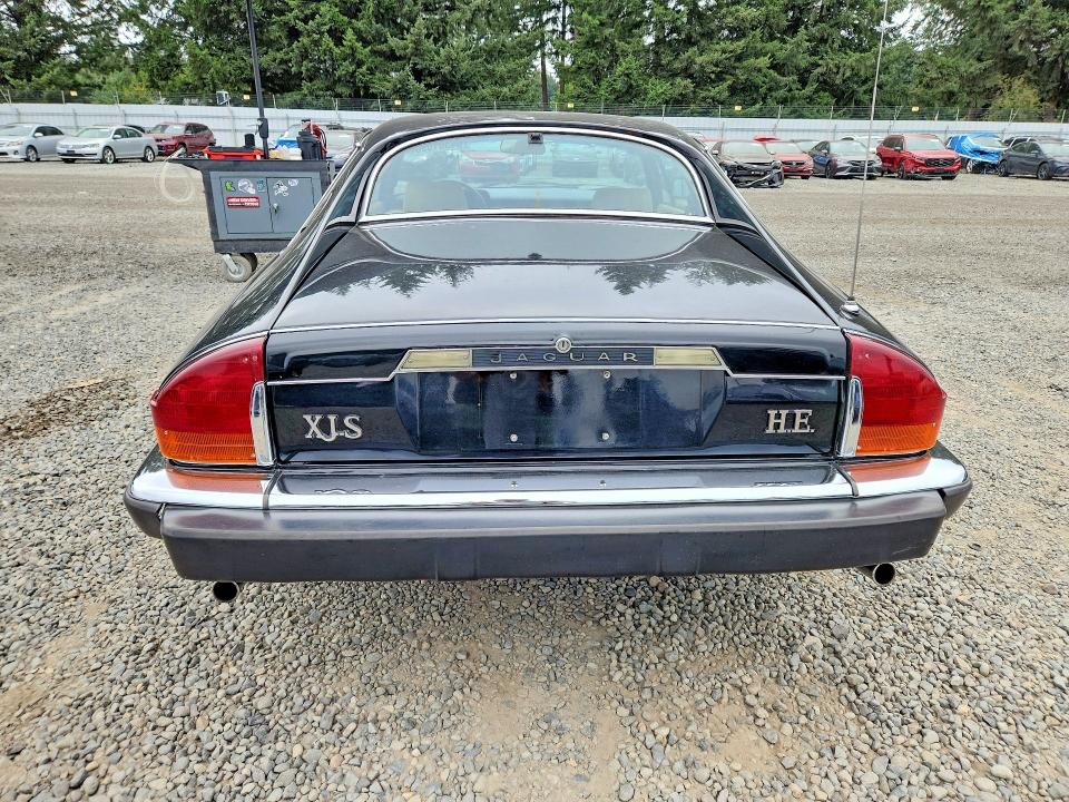 Продаж на аукціоні авто 1983 Jaguar Xjs, vin: SAJNV584XDC110152, номер лоту: 64301696
