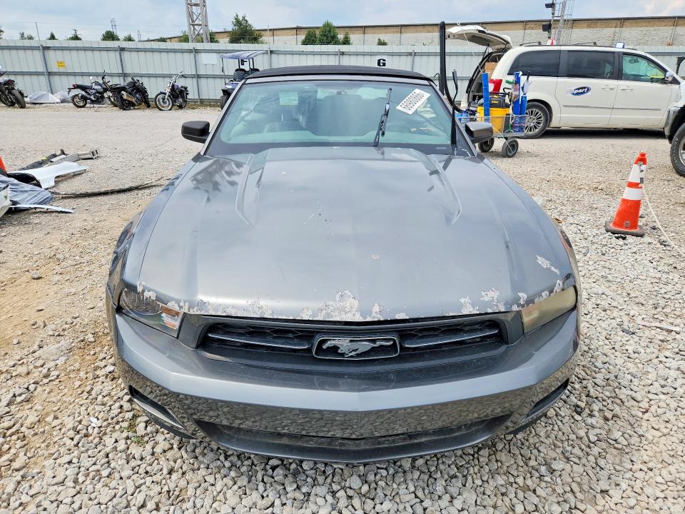 Продажа на аукционе авто 2010 Ford Mustang, vin: 1ZVBP8EN3A5165307, номер лота: 66980866