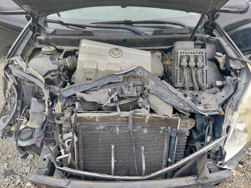 2010 Cadillac Srx მანქანა იყიდება აუქციონზე, vin: 3GYFNDEY5AS573899, აუქციონის ნომერი: 62487186