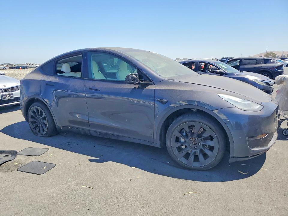 63251146 :رقم المزاد ، 5YJYGDEE6MF216355 vin ، 2021 Tesla Model Y مزاد بيع