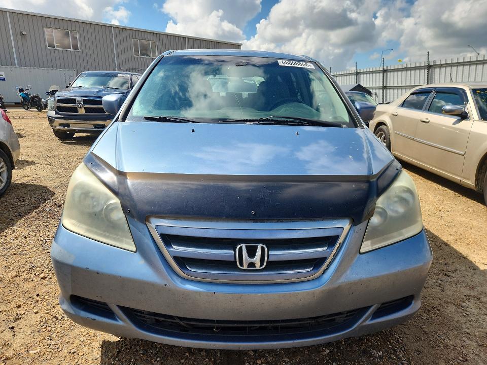 65006866 :رقم المزاد ، 5FNRL38417B511901 vin ، 2007 Honda Odyssey مزاد بيع