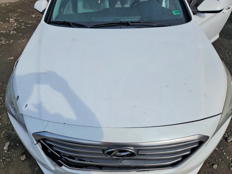Продажа на аукционе авто 2016 Hyundai Sonata, vin: 5NPE24AF2GH337728, номер лота: 63113946