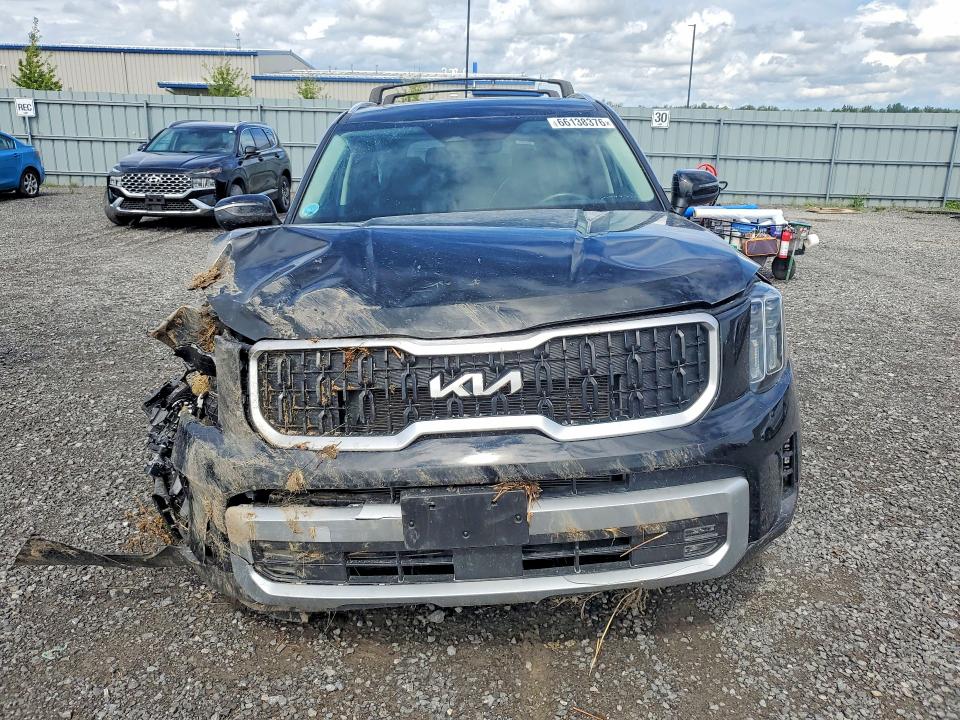 Продаж на аукціоні авто 2023 Kia Telluride, vin: 5XYP3DGC0PG351850, номер лоту: 66138376