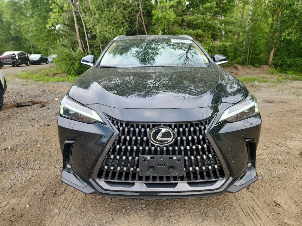 Aukcja sprzedaży 2026 Lexus Nx, vin: 2T2GGCEZ8TC097053, numer aukcji: 64995666