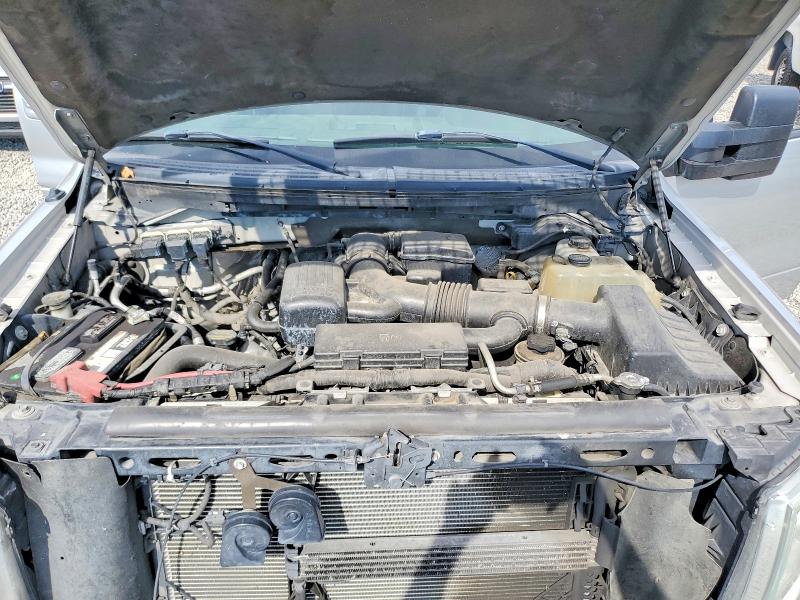 Продаж на аукціоні авто 2010 Ford F150, vin: 1FTFW1EV4AKE38111, номер лоту: 63538886