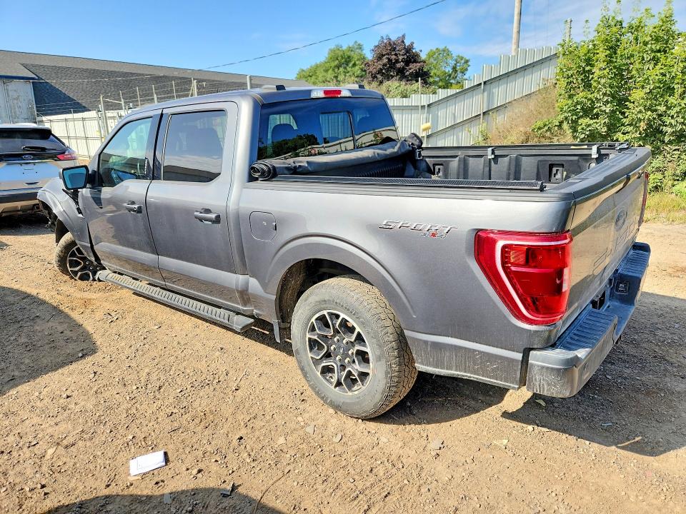 2023 Ford F150 მანქანა იყიდება აუქციონზე, vin: 1FTEW1EP6PKG02450, აუქციონის ნომერი: 64901816