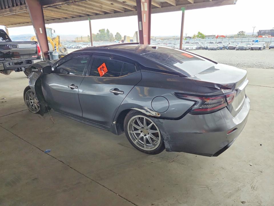 64141576 :رقم المزاد ، 1N4AA6AV5KC383679 vin ، 2019 Nissan Maxima مزاد بيع