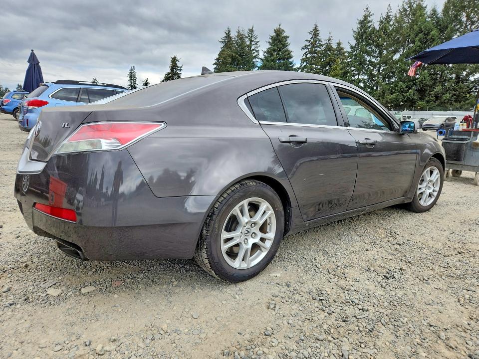 Продаж на аукціоні авто 2009 Acura Tl, vin: 19UUA86219A016559, номер лоту: 66117886