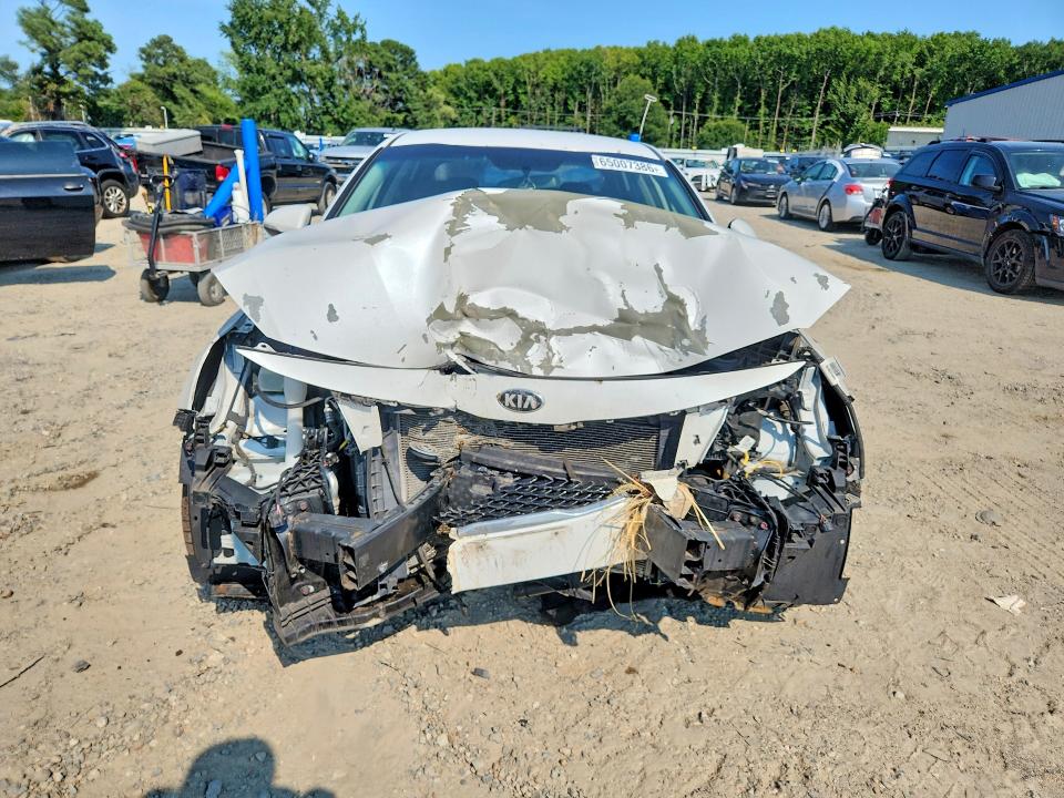 65007386 :رقم المزاد ، 5XXGT4L31GG066438 vin ، 2016 Kia Optima مزاد بيع