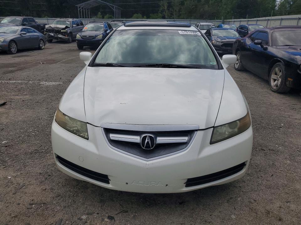 67013306 :رقم المزاد ، 19UUA66216A066619 vin ، 2006 Acura 3.2tl مزاد بيع