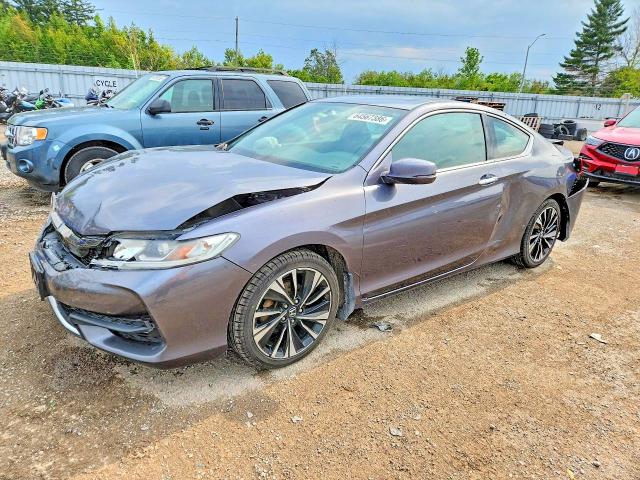 64567386 :رقم المزاد ، 1HGCT1B72HA800701 vin ، 2017 Honda Accord مزاد بيع