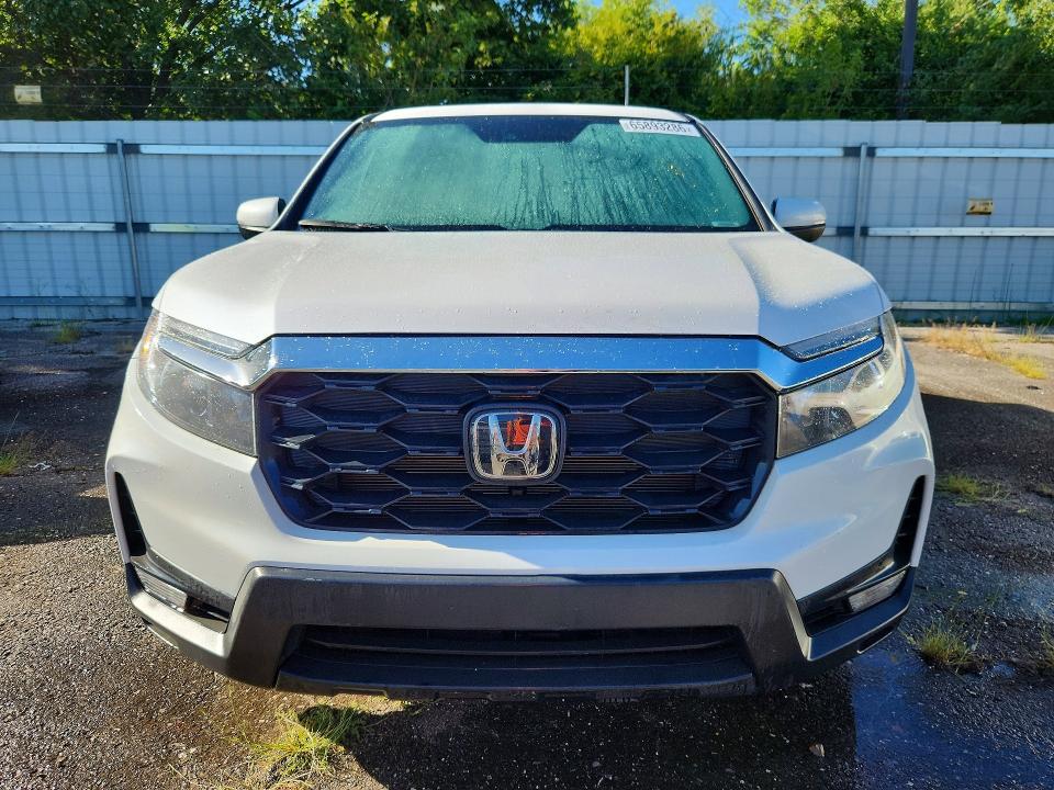 2024 Honda Passport მანქანა იყიდება აუქციონზე, vin: 5FNYF8H58RB010080, აუქციონის ნომერი: 65893286