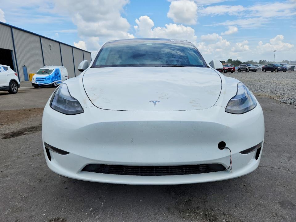 Продаж на аукціоні авто 2023 Tesla Model Y, vin: 7SAYGDED1PF958399, номер лоту: 66059556