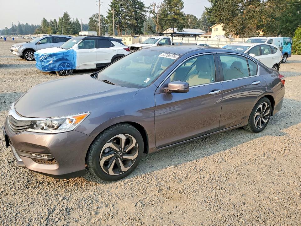 63750146 :رقم المزاد ، 1HGCR2F79GA206085 vin ، 2016 Honda Accord مزاد بيع