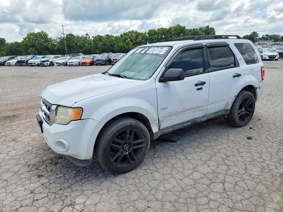 Auction sale of the 2009 Ford Escape, vin: 1FMCU93G99KC20023, lot number: 63317136