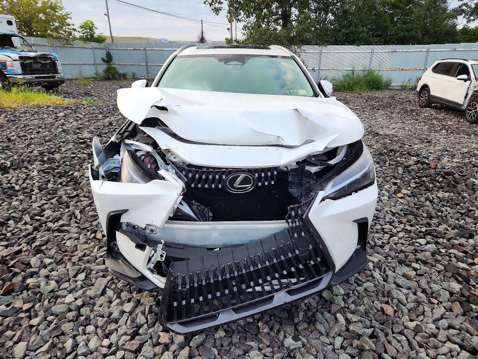 Продаж на аукціоні авто 2025 Lexus Nx 250, vin: 2T2ADCEZ9SC005509, номер лоту: 65487076