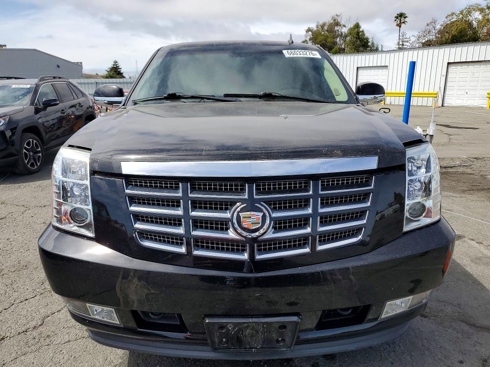Продаж на аукціоні авто 2009 Cadillac Escalade, vin: 1GYFC232X9R239357, номер лоту: 66033276