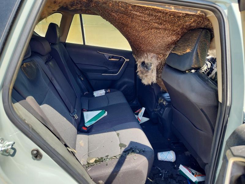 66839576 :رقم المزاد ، 2T3W1RFV2NW231175 vin ، 2022 Toyota Rav4 مزاد بيع