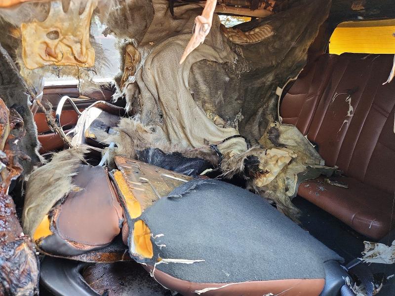 Aukcja sprzedaży 2016 Cadillac Escalade, vin: 1GYS3CKJ6GR420482, numer aukcji: 66638526