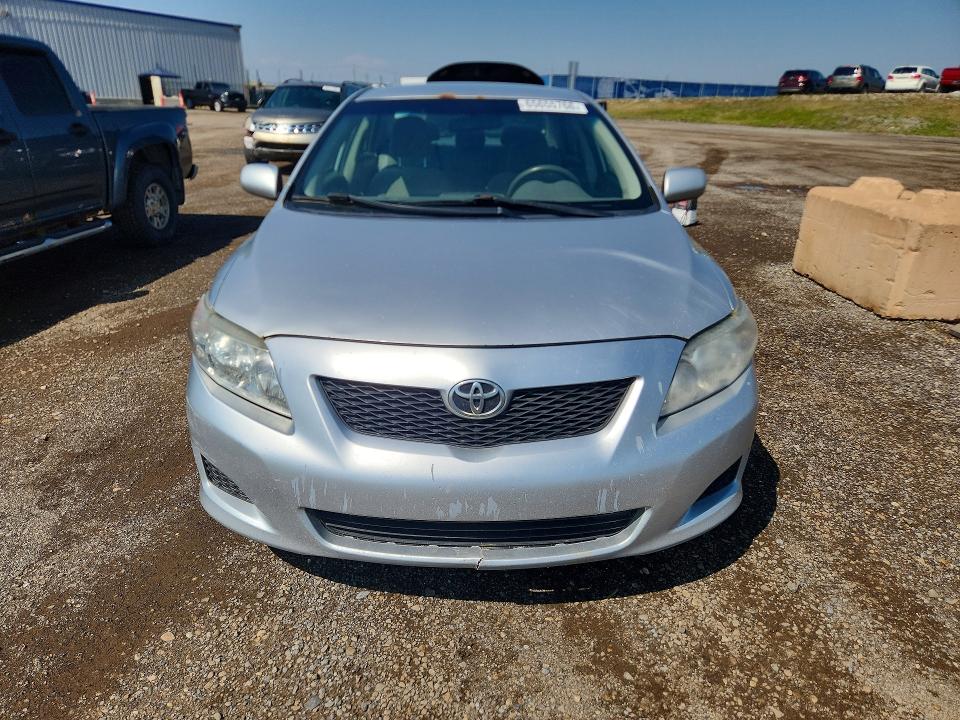 Продажа на аукционе авто 2009 Toyota Corolla, vin: 2T1BU40E69C135955, номер лота: 65655766