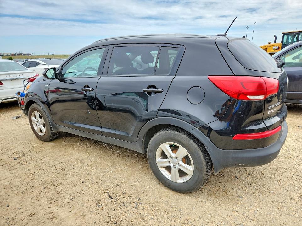 Продаж на аукціоні авто 2014 Kia Sportage, vin: KNDPBCAC3E7630208, номер лоту: 65389096