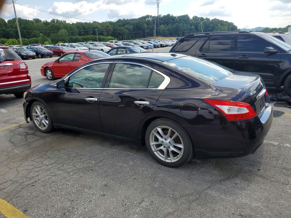 Продажа на аукционе авто 2010 Nissan Maxima, vin: 1N4AA5AP9AC855537, номер лота: 63316676