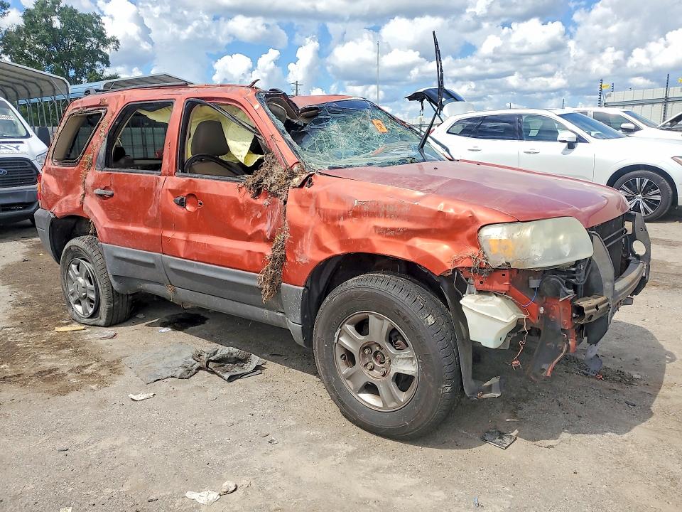 66703196 :رقم المزاد ، 1FMCU02Z55KD88279 vin ، 2005 Ford Escape مزاد بيع